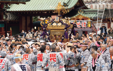 <br />
<b>Warning</b>:  Undefined variable $nihonbashi_yon in <b>/var/www/vhosts/kandamatsuri.com/httpdocs/include/pages/mikoshimiyairi.php</b> on line <b>73</b><br />
<br />
<b>Warning</b>:  Trying to access array offset on null in <b>/var/www/vhosts/kandamatsuri.com/httpdocs/include/pages/mikoshimiyairi.php</b> on line <b>73</b><br />
